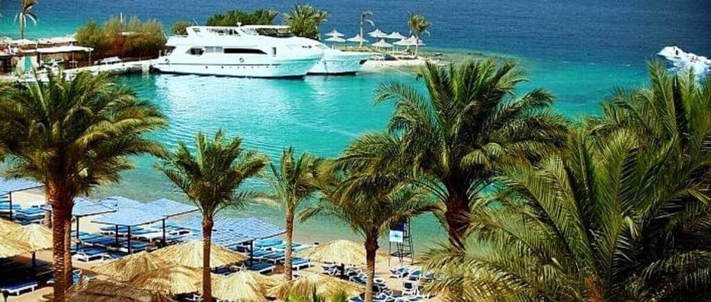 فندق ريجينا الغردقة أكوا بارك ريزورت زيا من شركة الحرية للحلول التسويقية والعقارية